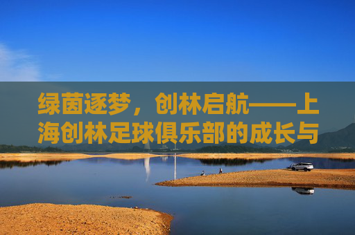 绿茵逐梦,创林启航——上海创林足球俱乐部的成长与展望,创林逐梦,绿茵启航,上海足球俱乐部的成长展望