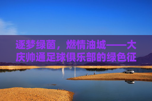 逐梦绿茵，燃情油城——大庆帅通足球俱乐部的绿色征程，大庆帅通，逐梦绿茵的油城绿色征程