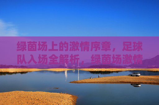 绿茵场上的激情序章,足球队入场全解析,绿茵场激情序章,足球队入场全解析