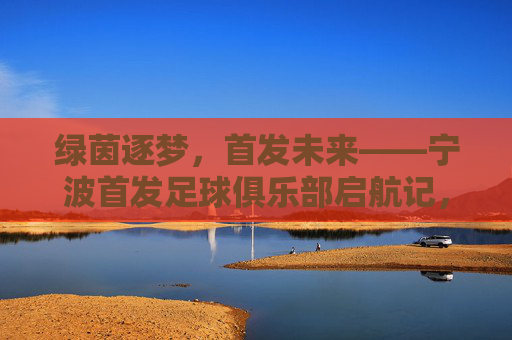 绿茵逐梦，首发未来——宁波首发足球俱乐部启航记，宁波首发足球俱乐部，绿茵逐梦启航