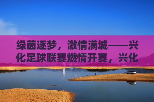 绿茵逐梦，激情满城——兴化足球联赛燃情开赛，兴化足球联赛燃情开赛，绿茵逐梦，激情满城