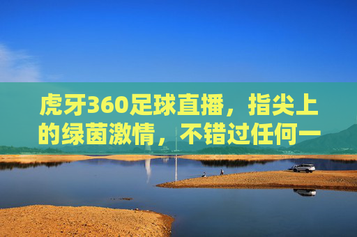 虎牙360足球直播,指尖上的绿茵激情,不错过任何一场精彩,虎牙360足球直播,指尖上的绿茵激情,不错过每一场精彩