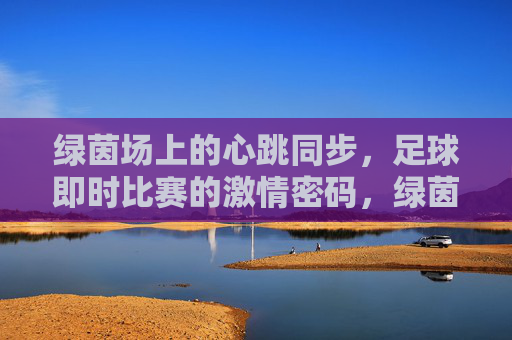 绿茵场上的心跳同步,足球即时比赛的激情密码,绿茵心跳,即时足球的激情密码