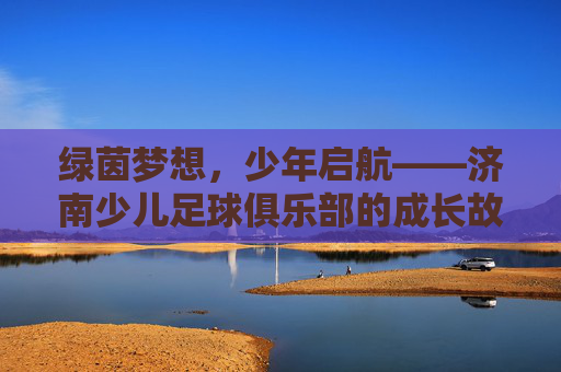 绿茵梦想,少年启航——济南少儿足球俱乐部的成长故事,绿茵梦想,少年启航——济南少儿足球俱乐部的成长故事