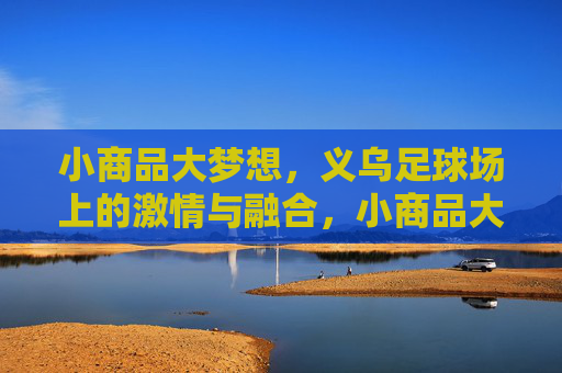 小商品大梦想,义乌足球场上的激情与融合,小商品大梦想,义乌足球场的激情与融合