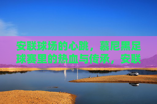 安联球场的心跳,慕尼黑足球赛里的热血与传承,安联球场的心跳,慕尼黑足球的热血传承