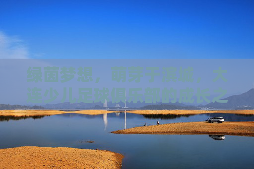 绿茵梦想，萌芽于滨城，大连少儿足球俱乐部的成长之路，绿茵梦想从滨城萌芽，大连少儿足球俱乐部的成长之路