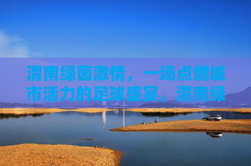 渭南绿茵激情，一场点燃城市活力的足球盛宴，渭南绿茵盛宴，足球激情燃动城市
