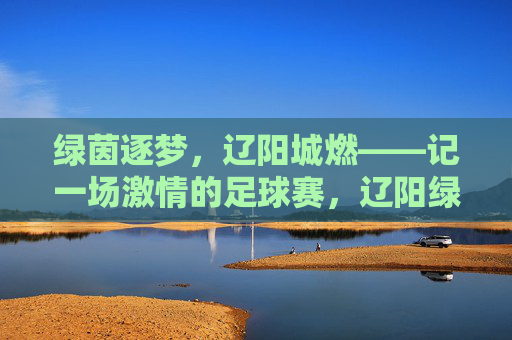 绿茵逐梦，辽阳城燃——记一场激情的足球赛，辽阳绿茵逐梦，足球激情燃城