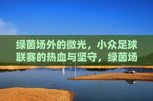 绿茵场外的微光，小众足球联赛的热血与坚守，绿茵场外微光，小众联赛的热血坚守