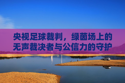 央视足球裁判,绿茵场上的无声裁决者与公信力的守护者