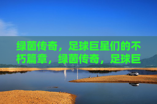 绿茵传奇，足球巨星们的不朽篇章，绿茵传奇，足球巨星的不朽篇章