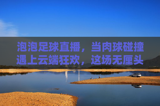 泡泡足球直播,当肉球碰撞遇上云端狂欢,这场无厘头快乐谁顶得住?泡泡足球直播,肉球碰撞引爆云端无厘头狂欢