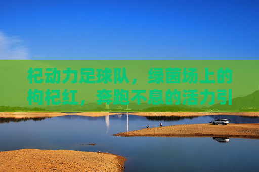 杞动力足球队,绿茵场上的枸杞红,奔跑不息的活力引擎,杞动力,绿茵枸杞红,活力引擎