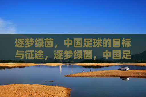 逐梦绿茵，中国足球的目标与征途，逐梦绿茵，中国足球的目标与征途