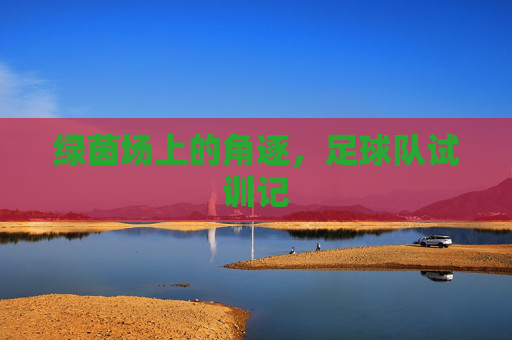 绿茵场上的角逐,足球队试训记