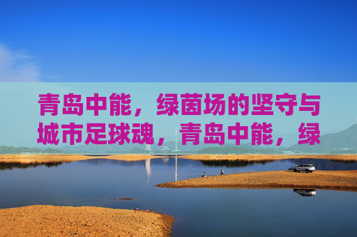 青岛中能,绿茵场的坚守与城市足球魂,青岛中能,绿茵坚守与城市足球魂