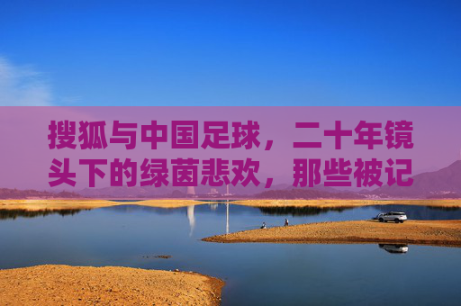搜狐与中国足球,二十年镜头下的绿茵悲欢,那些被记忆镌刻的瞬间