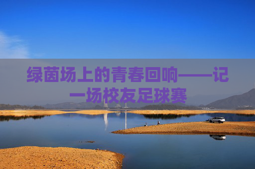 绿茵场上的青春回响——记一场校友足球赛