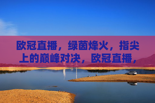 欧冠直播，绿茵烽火，指尖上的巅峰对决，欧冠直播，指尖烽火，巅峰对决