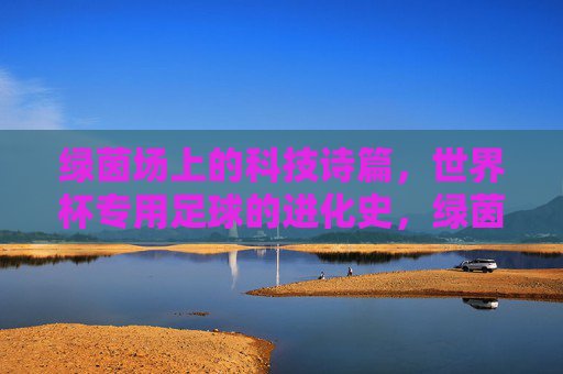 绿茵场上的科技诗篇，世界杯专用足球的进化史，绿茵场上的科技诗篇，世界杯足球进化史