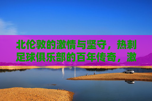 北伦敦的激情与坚守，热刺足球俱乐部的百年传奇，激情与坚守，北伦敦热刺的百年传奇
