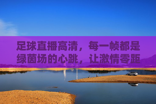 足球直播高清，每一帧都是绿茵场的心跳，让激情零距离，帧帧绿茵心跳，高清直播零距离