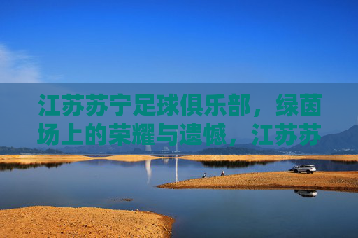 江苏苏宁足球俱乐部，绿茵场上的荣耀与遗憾，江苏苏宁足球，绿茵场的荣耀与遗憾