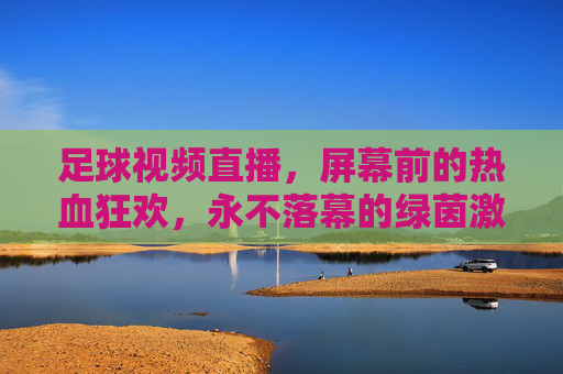 足球视频直播，屏幕前的热血狂欢，永不落幕的绿茵激情，直播热血，永不落幕的绿茵激情