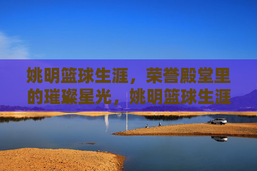 姚明篮球生涯，荣誉殿堂里的璀璨星光，姚明篮球生涯，荣誉殿堂的璀璨星光