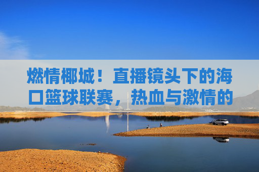 燃情椰城！直播镜头下的海口篮球联赛，热血与激情的云端对决，燃情椰城，直播见证海口篮球联赛热血对决