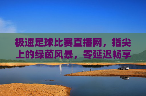 极速足球比赛直播网，指尖上的绿茵风暴，零延迟畅享赛场激情，指尖极速直播，绿茵风暴零延迟畅享