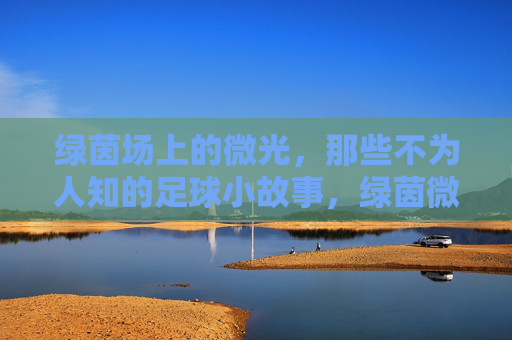 绿茵场上的微光,那些不为人知的足球小故事,绿茵微光,不为人知的足球小故事