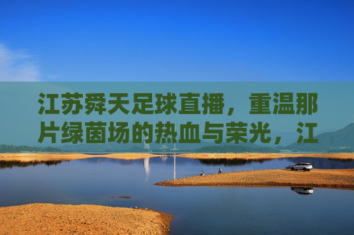 江苏舜天足球直播,重温那片绿茵场的热血与荣光,江苏舜天足球直播,重温绿茵热血与荣光