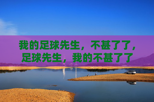 我的足球先生，不甚了了，足球先生，我的不甚了了