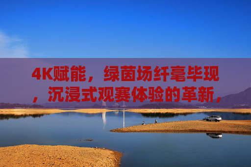 4K赋能,绿茵场纤毫毕现,沉浸式观赛体验的革新,4K赋能绿茵场纤毫毕现,沉浸式观赛体验革新