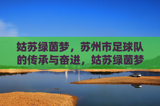 姑苏绿茵梦，苏州市足球队的传承与奋进，姑苏绿茵梦，传承奋进的苏州足球队