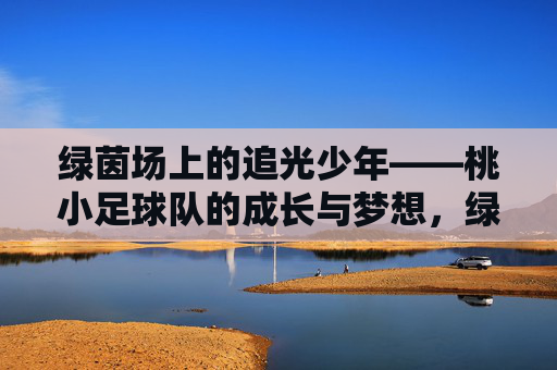 绿茵场上的追光少年——桃小足球队的成长与梦想,绿茵场上的追光少年,桃小足球队的成长与梦想