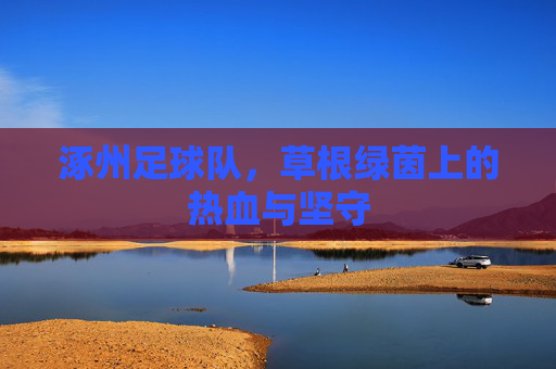 涿州足球队,草根绿茵上的热血与坚守