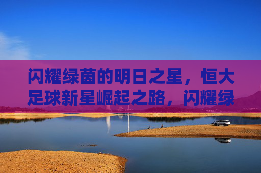闪耀绿茵的明日之星,恒大足球新星崛起之路,闪耀绿茵,恒大足球新星崛起之路