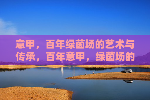 意甲，百年绿茵场的艺术与传承，百年意甲，绿茵场的艺术传承