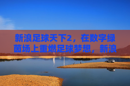 新浪足球天下2,在数字绿茵场上重燃足球梦想,新浪足球天下2,数字绿茵场重燃足球梦想