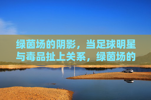 绿茵场的阴影,当足球明星与毒品扯上关系,绿茵场的污点,足球明星与毒品之殇