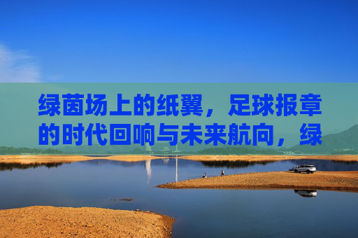 绿茵场上的纸翼,足球报章的时代回响与未来航向,绿茵纸翼,足球报章的时代回响与未来航向