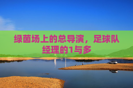 绿茵场上的总导演,足球队经理的1与多