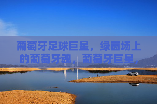 葡萄牙足球巨星，绿茵场上的葡萄牙魂，葡萄牙巨星，绿茵场上的葡萄牙魂
