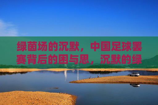 绿茵场的沉默，中国足球罢赛背后的困与思，沉默的绿茵场，中国足球罢赛背后的困与思