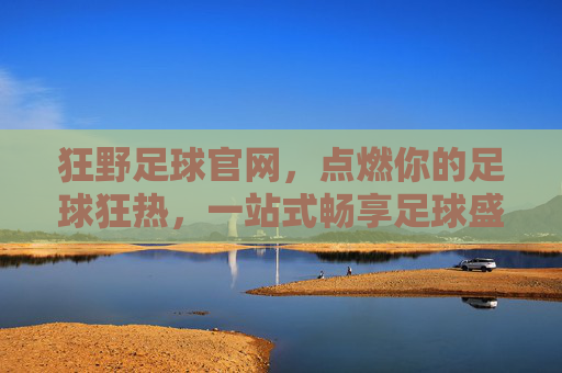 狂野足球官网，点燃你的足球狂热，一站式畅享足球盛宴，狂野足球官网，点燃狂热，一站式足球盛宴
