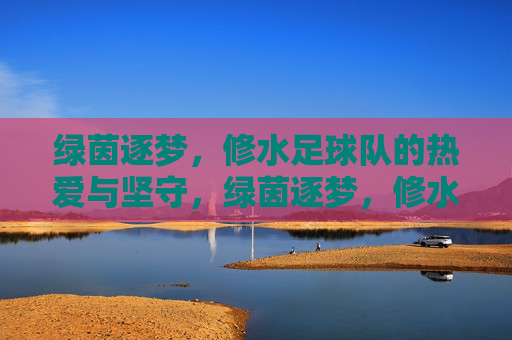 绿茵逐梦,修水足球队的热爱与坚守,绿茵逐梦,修水足球队的热爱与坚守