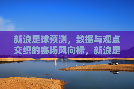 新浪足球预测,数据与观点交织的赛场风向标,新浪足球预测,数据与观点交织的赛场风向标